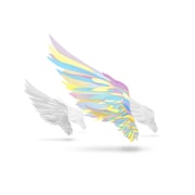 翼を持つ者 ~Not an angel Just a dreamer~