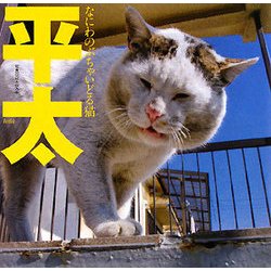 平太-なにわのぶちゃいどる猫 [単行本]