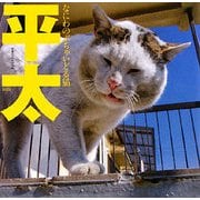 平太-なにわのぶちゃいどる猫 [単行本]