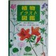 植物イラスト図鑑 [図鑑]