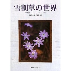 雪割草の世界（アクアライフの本） [単行本]