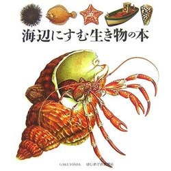 海辺にすむ生き物の本（はじめての発見〈45〉） [絵本]