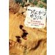 つながりゆるりと―小さな居場所「サロン・ド・カフェ こもれび」の挑戦 [単行本]