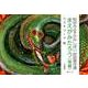 まえがみたろう 後編（松谷みよ子かみしばい民話傑作選） [紙しばい]