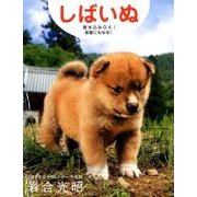 しばいぬ卓上カレンダー 2018 [カレンダー]