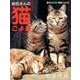 岩合さんの猫ごよみ卓上カレンダー 2018 [カレンダー]