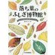 落ち葉のふしぎ博物館―ゲッチョ先生の落ち葉コレクション [絵本]