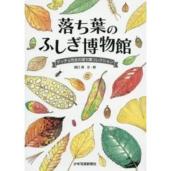 落ち葉のふしぎ博物館―ゲッチョ先生の落ち葉コレクション [絵本]