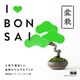 I LOVE 盆栽 [単行本]