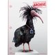 ARCHIVE 2017年 08月号 [雑誌]