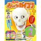 おしえておしゃべりガイコツ 2017年 9/26号（35） [雑誌]