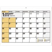 C113 NOLTYカレンダー壁掛け9 2018 [2018年カレンダー]