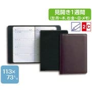 959 横線ポケット日記〈名刺入兼用皮装〉 [単行本]