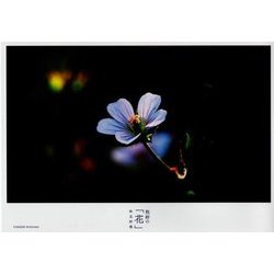 熊野の「花」 [単行本]