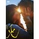 光 スタンダード・エディション [DVD]