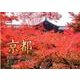 京都名所カレンダー 2018 [カレンダー]