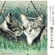 パステル画家山中翔之郎 猫カレンダー 愛猫元さんとのらねこた [カレンダー]