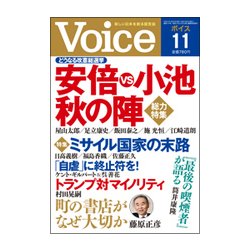 Voice (ボイス) 2017年 11月号 [雑誌]