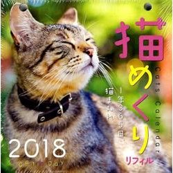 猫めくりカレンダー リフィル 2018 [カレンダー]