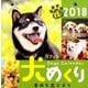 犬めくりカレンダー リフィル 2018 [カレンダー]