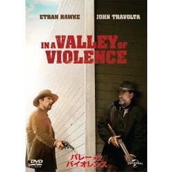バレー・オブ・バイオレンス [DVD]