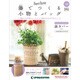 隔週刊 籐でつくる小物とバッグ 2017年 10/24号 [雑誌]