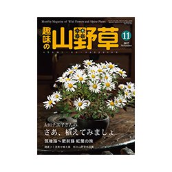 趣味の山野草 2017年 11月号 [雑誌]