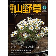 趣味の山野草 2017年 11月号 [雑誌]
