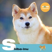 柴犬CALENDAR 2018 [カレンダー]