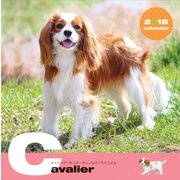 キャバリアCALENDAR 2018 [カレンダー]