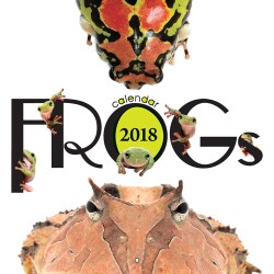FROGs calendar 2018 [カレンダー]