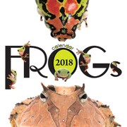 FROGs calendar 2018 [カレンダー]