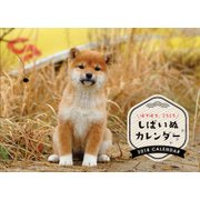 しばいぬCALENDAR 2018 [カレンダー]