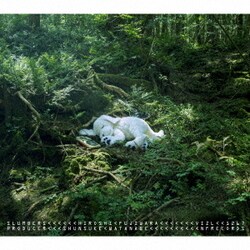 HIROSHI FUJIWARA／SLUMBERS<Deluxe Edition>