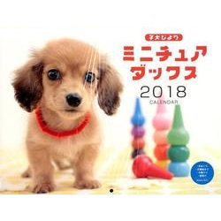 子犬びよりミニチュアダックスCALENDAR 2018 [カレンダー]