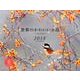 世界のかわいい小鳥CALENDAR 2018 [カレンダー]