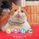 うちねこCalendar エキゾチックショートヘア 2018 [カレンダー]