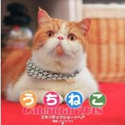 うちねこCalendar エキゾチックショートヘア 2018 [カレンダー]