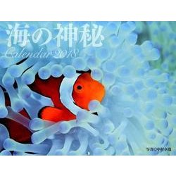 海の神秘Calendar 2018 [カレンダー]