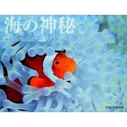 海の神秘Calendar 2018 [カレンダー]