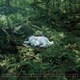 HIROSHI FUJIWARA／SLUMBERS