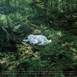 HIROSHI FUJIWARA／SLUMBERS