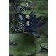 黒い睡蓮(集英社文庫) [文庫]