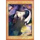 Code:Realize～創世の姫君～ 第5巻 [Blu-ray Disc]