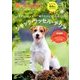 愛犬の友 2017年 11月号 [雑誌]