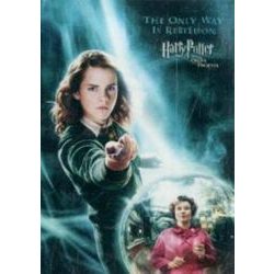 ハリー・ポッターと不死鳥の騎士団キャラクターマグネット [ムック・その他]