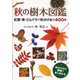 秋の樹木図鑑-紅葉・実・どんぐりで見分ける約400種 [図鑑]