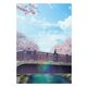 君の膵臓をたべたい 豪華版 [Blu-ray Disc]