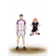 劇場版総集編 白鳥沢学園高校戦 『ハイキュー!! コンセプトの戦い』