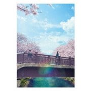 君の膵臓をたべたい 豪華版